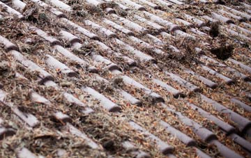 Bruera roof cleaning companies