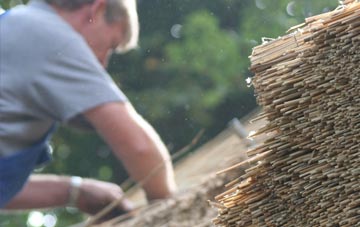 professional Bruera thatchers