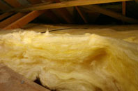 Bruera pitch roof insulation